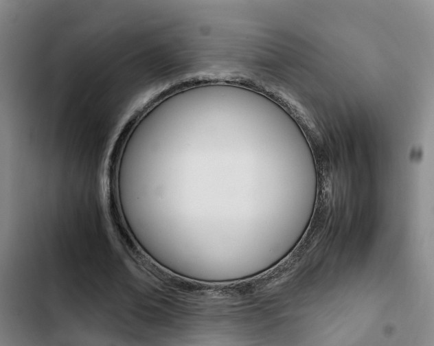 X0000103270678200808291108
