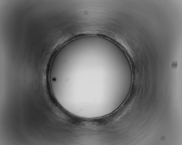 X0000103270681200808291108