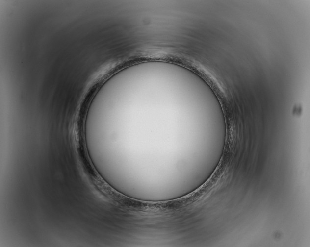 X0000103270682200808291108