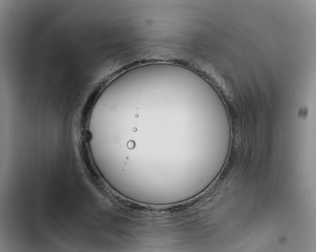 X0000103270683200808291107