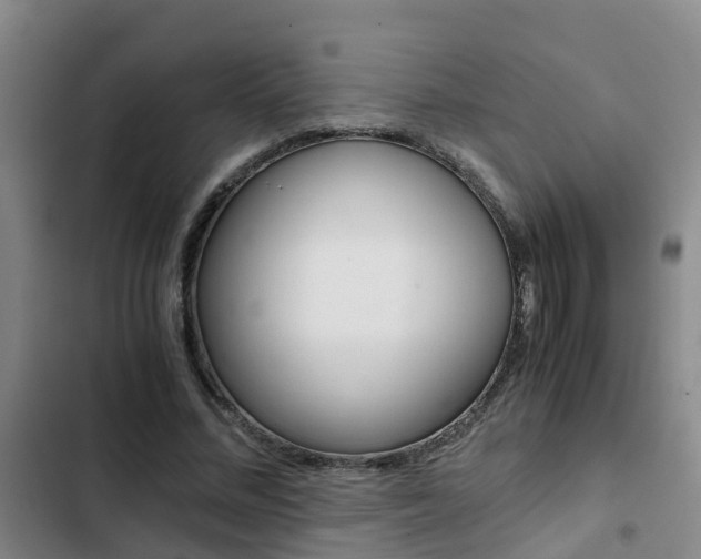 X0000103270684200808291107