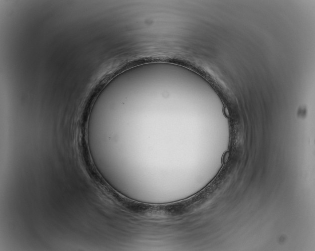 X0000103270685200808291107