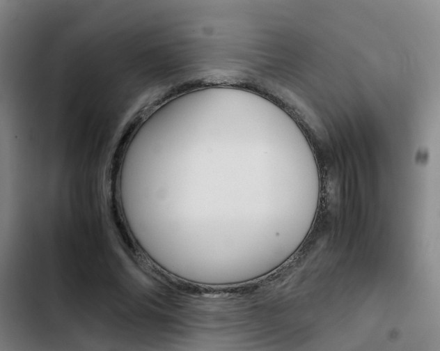X0000103270686200808291107