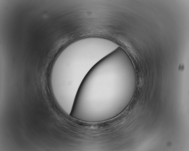 X0000103270687200808291107