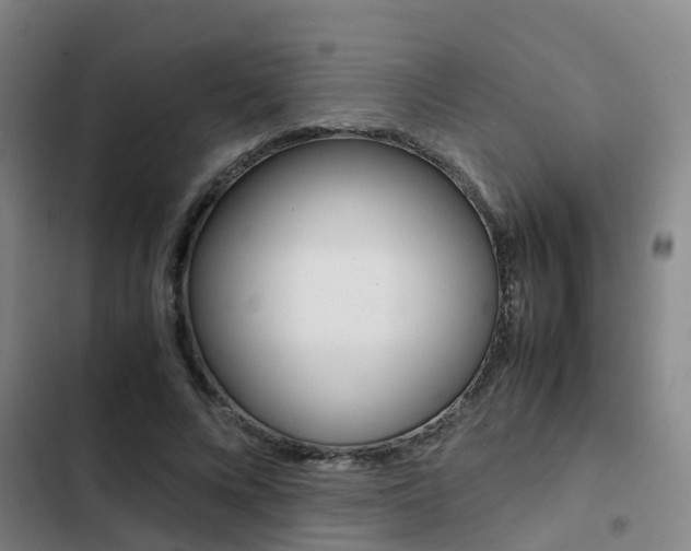 X0000103270688200808291107