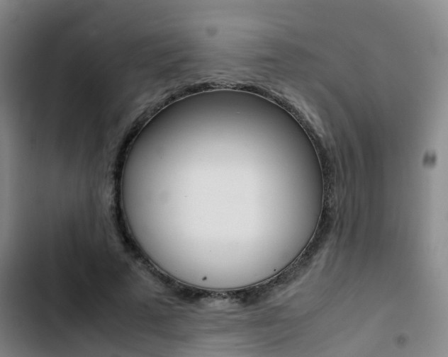 X0000103270689200808291107