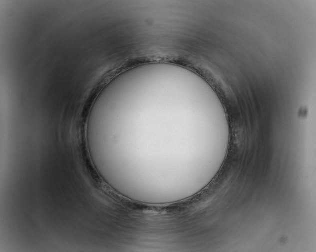 X0000103270690200808291107