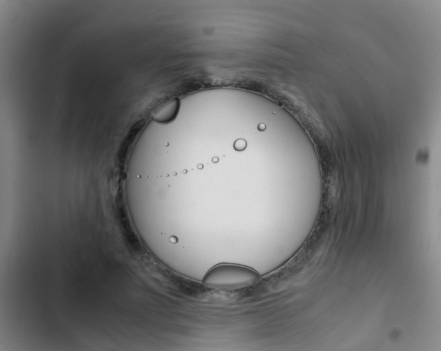 X0000103270691200808291107