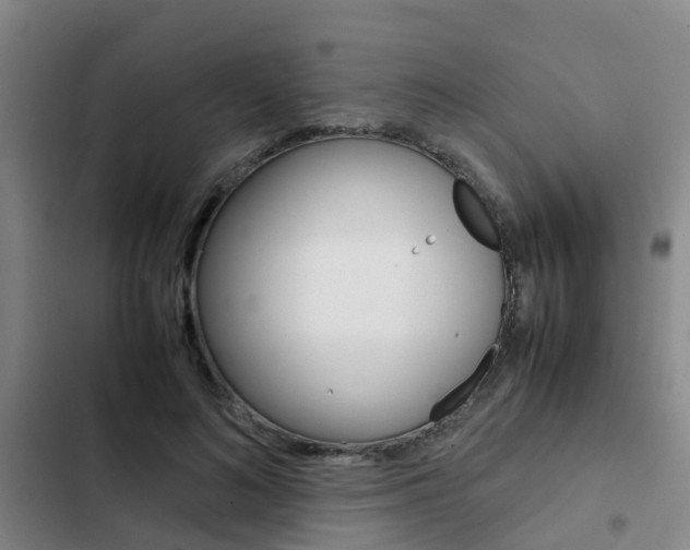 X0000103270692200808291107