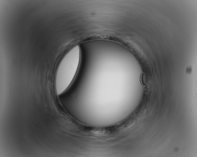 X0000103270693200808291107