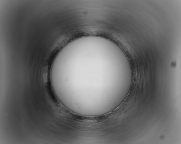 X0000103270694200808291107