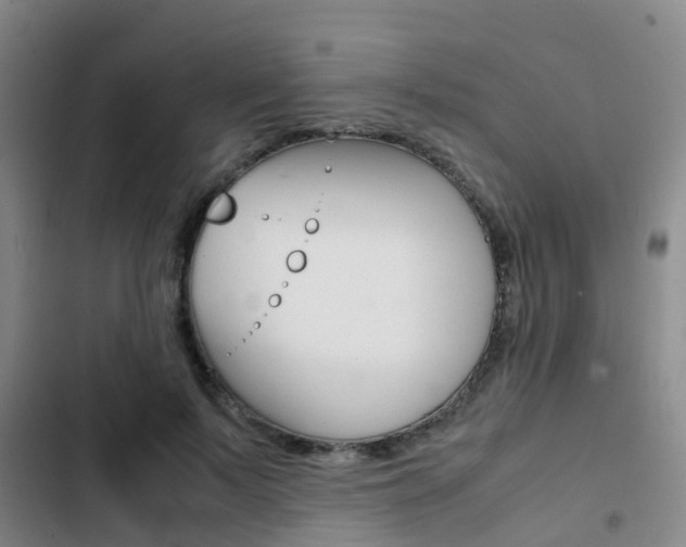 X0000103270695200808291107