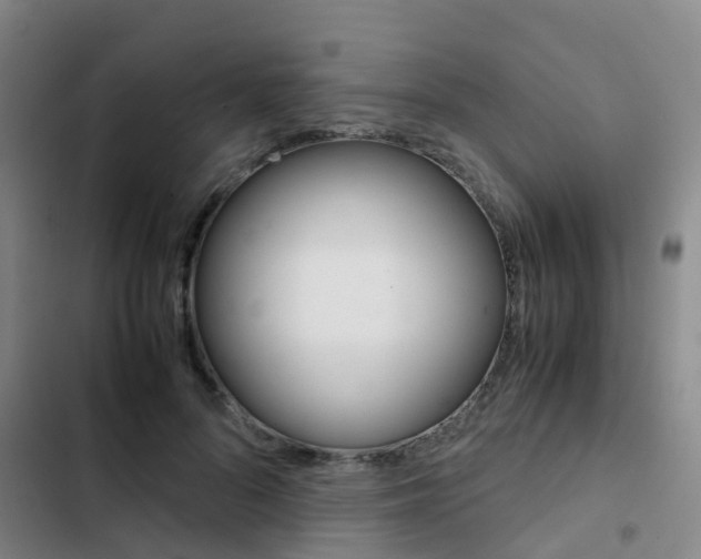 X0000103270696200808291107
