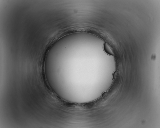 X0000103270697200808291107