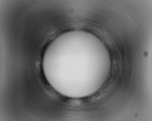 X0000103270698200808291107