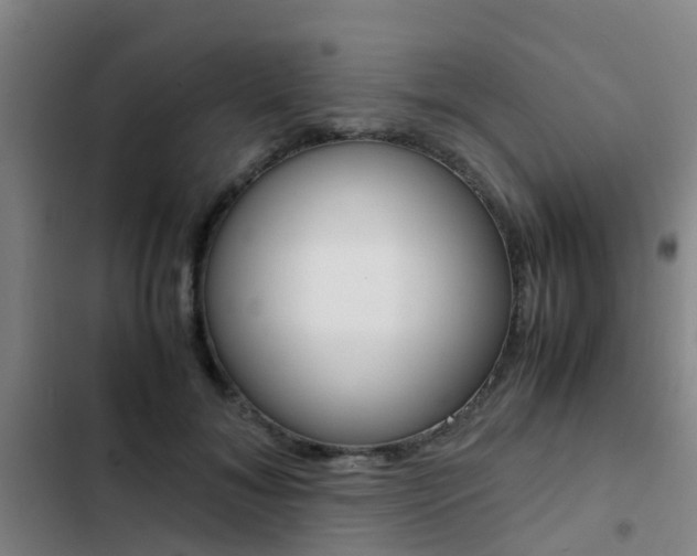 X0000103270700200808291107