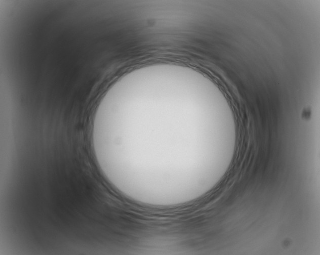 X0000103270701200808291107