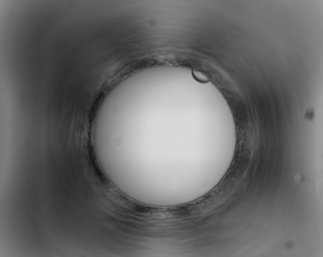 X0000103270702200808291107