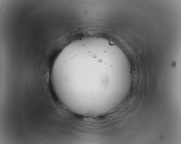 X0000103270703200808291107