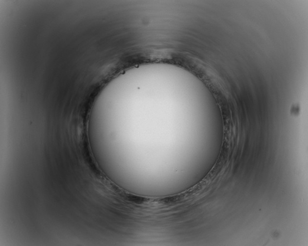 X0000103270704200808291107