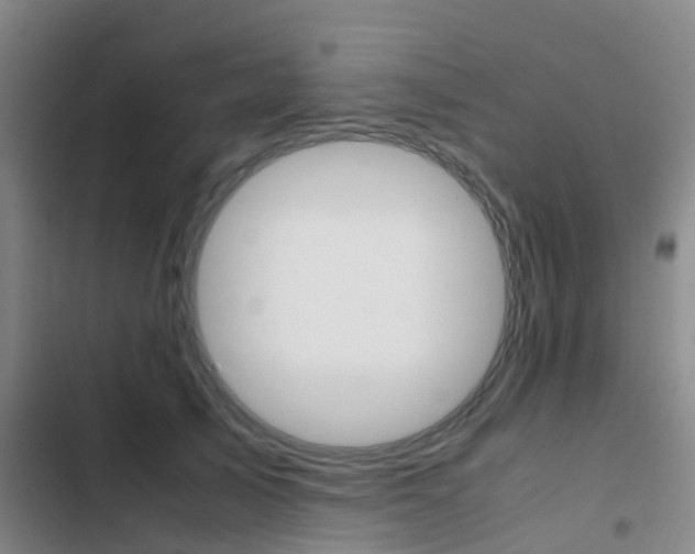 X0000103270705200808291107