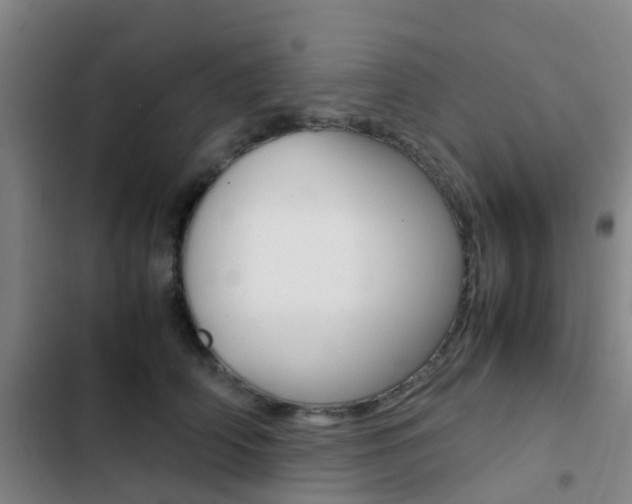 X0000103270706200808291107