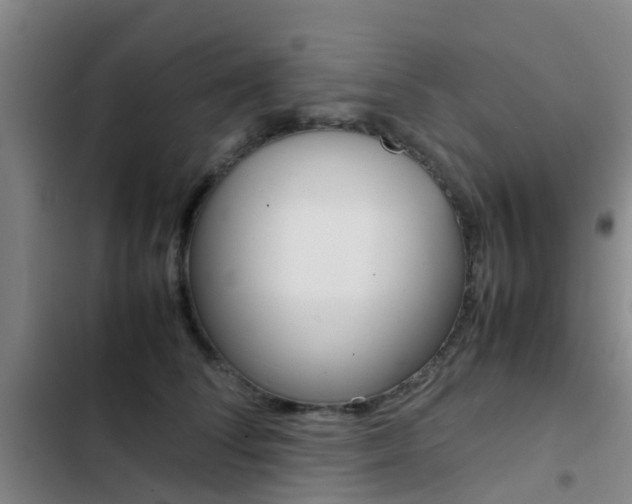 X0000103270708200808291107