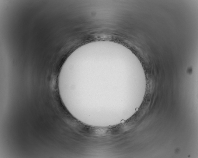X0000103270709200808291107