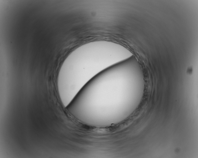 X0000103270711200808291107