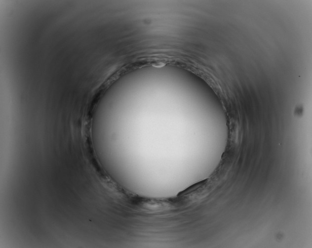 X0000103270712200808291107