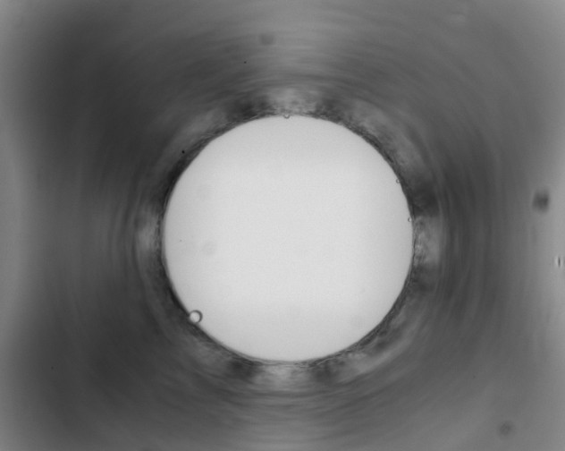 X0000103270713200808291107