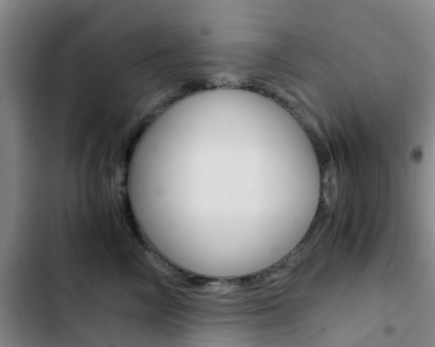 X0000103270714200808291107
