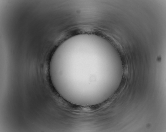 X0000103270715200808291107
