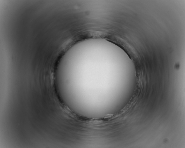 X0000103270716200808291107