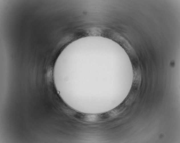 X0000103270717200808291107