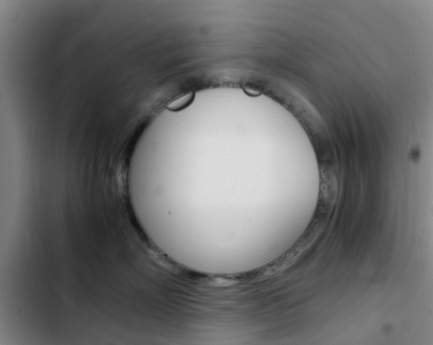 X0000103270718200808291107