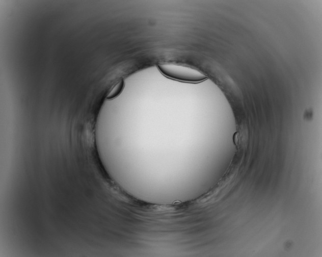X0000103270719200808291107