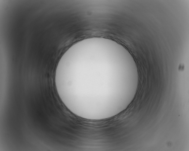 X0000103270720200808291107