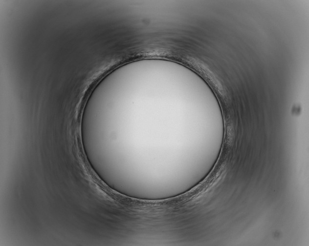 X0000103270721200808291106