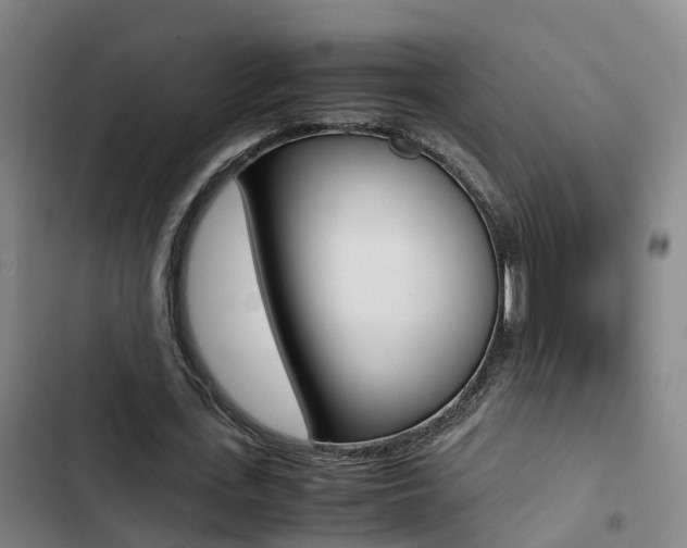 X0000103270723200808291106