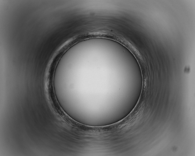 X0000103270724200808291106