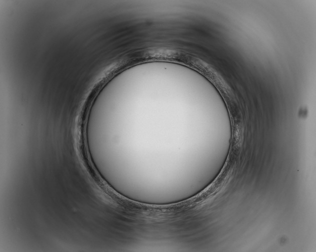 X0000103270725200808291106