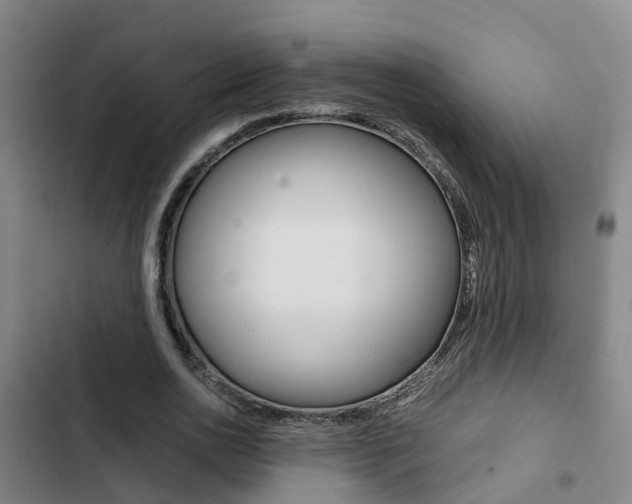 X0000103270726200808291106