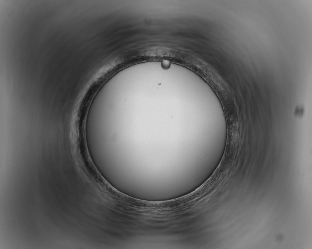 X0000103270727200808291106
