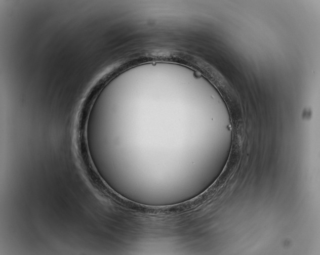 X0000103270728200808291106