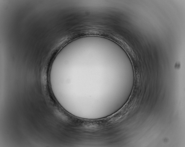 X0000103270729200808291106