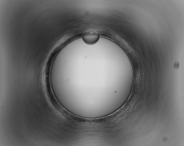 X0000103270730200808291106