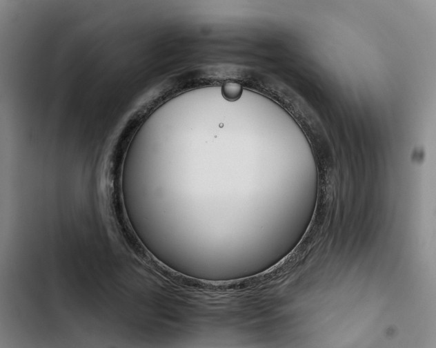 X0000103270731200808291106