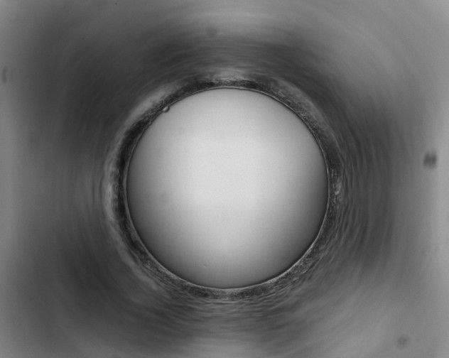 X0000103270732200808291106