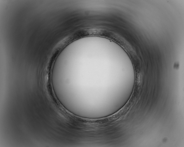 X0000103270733200808291106